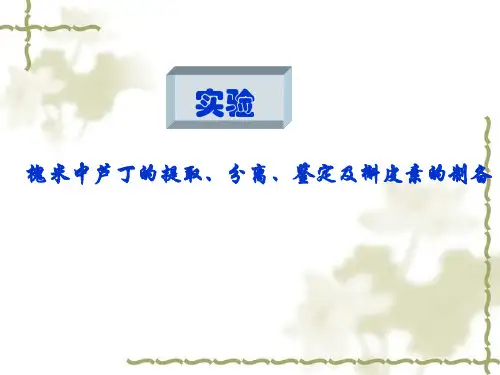 中药化学 实验 槐米中芦丁的提取、分离、鉴定及槲皮素的制备