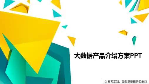 大数据产品介绍方案PPT