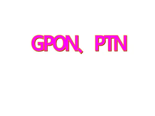 GPON培训 PPT课件
