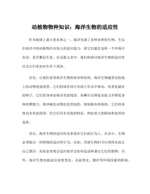 动植物物种知识：海洋生物的适应性