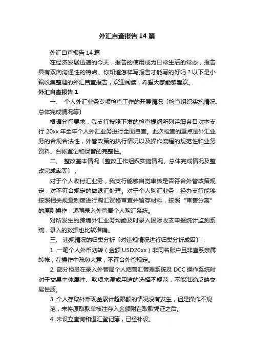 外汇自查报告14篇
