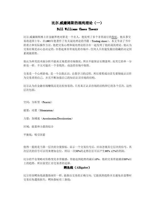 比尔.威廉姆斯的混沌理论