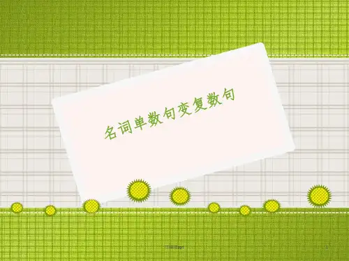 小学英语--名词单数句变复数句ppt课件