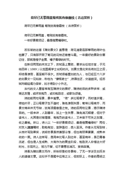 荷尽已无擎雨盖菊残犹有傲霜枝（古诗赏析）