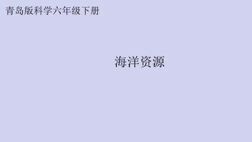 新青岛版六三学制六年级科学下册 11 海洋资源(课件)