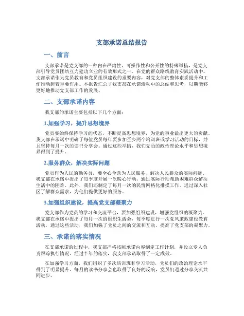 支部承诺总结报告
