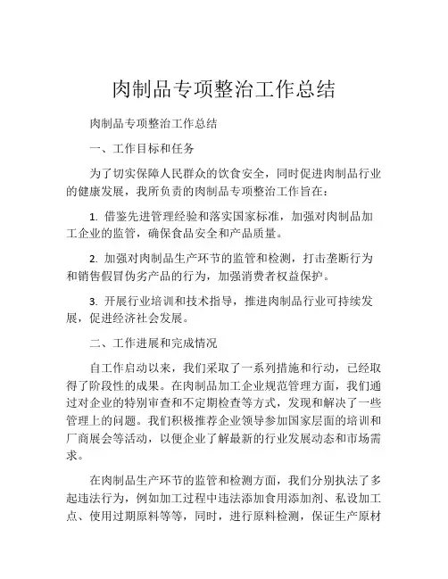 肉制品专项整治工作总结
