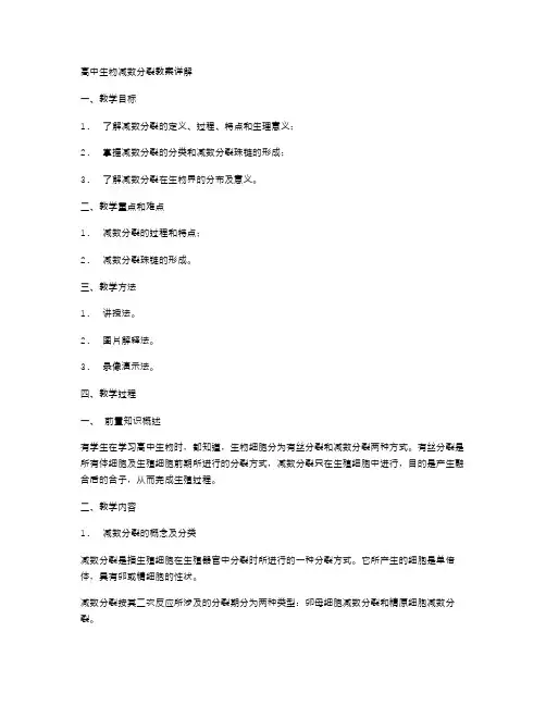 高中生物减数分裂教案详解