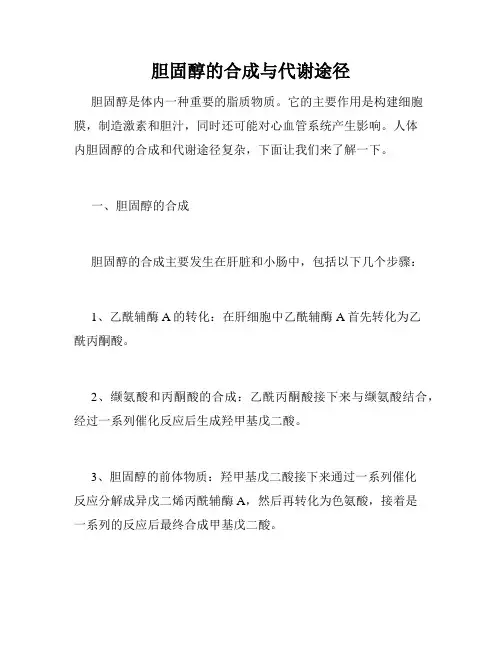 胆固醇的合成与代谢途径