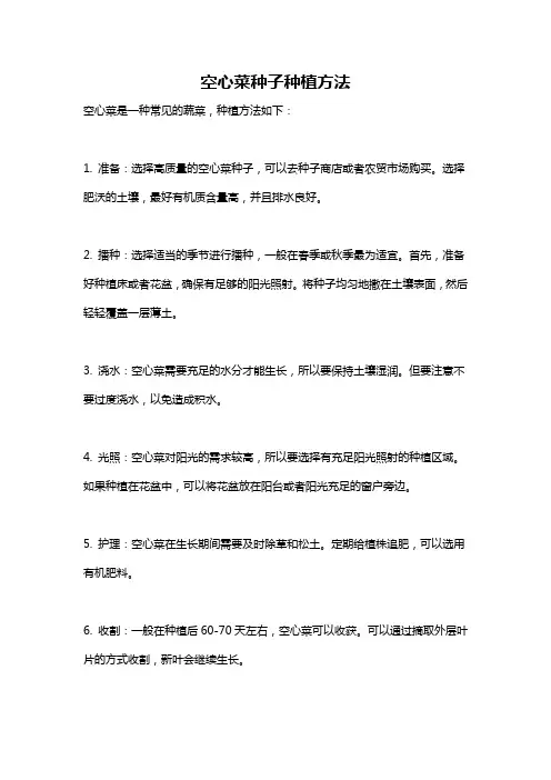 空心菜种子种植方法