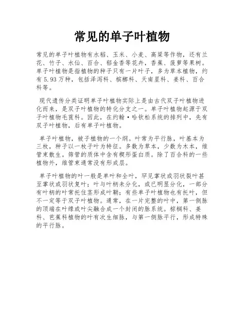 常见的单子叶植物
