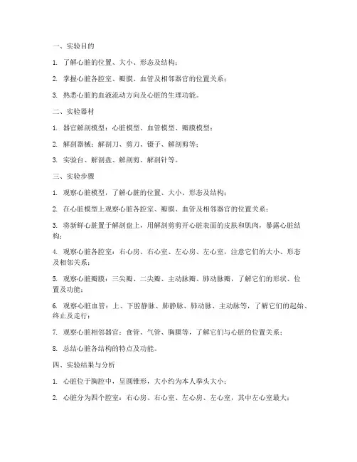 掌握心脏的结构实验报告