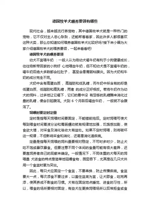 德国牧羊犬喂养要领有哪些