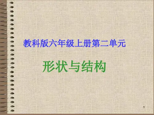【推荐】六年级上册科学课件-第2单元 形状与结构 教科版(共22张PPT)