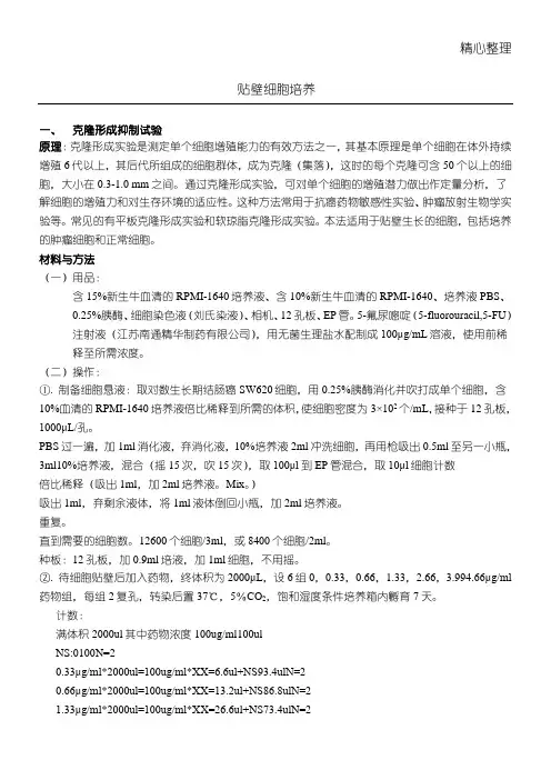 贴壁细胞培养