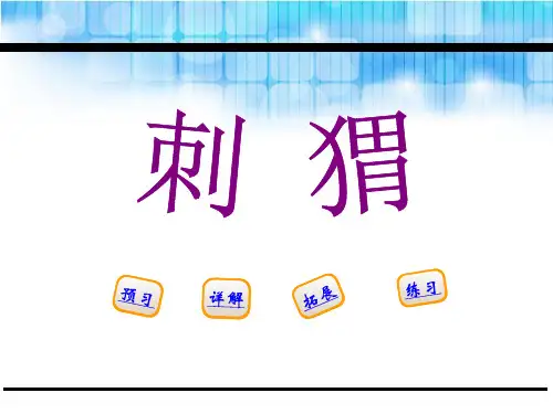 《刺猬》PPT课件【优课件推荐】