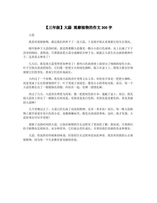 【三年级】大蒜 观察植物的作文300字