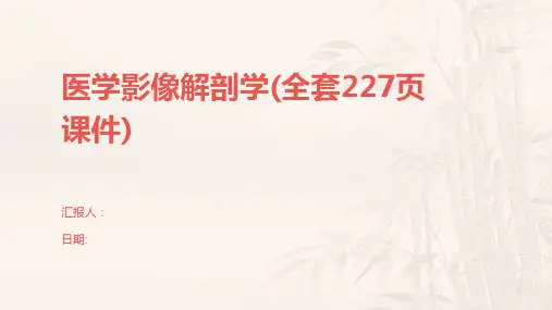 医学影像解剖学(全套227页课件)