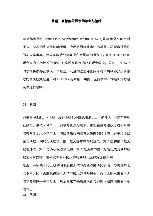 最新：肩袖部分损伤的诊断与治疗