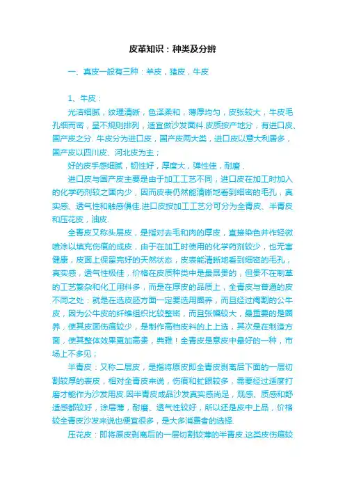 皮革知识：种类及分辨
