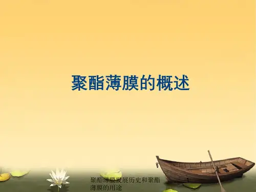 聚酯薄膜发展历史和聚酯薄膜的用途