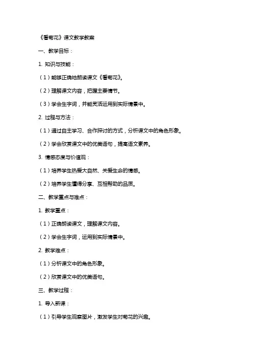 《看菊花》课文教学教案