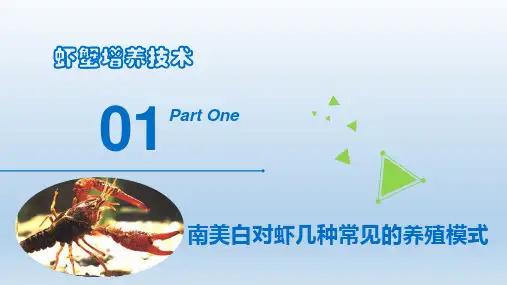对虾类养殖技术—南美白对虾养殖