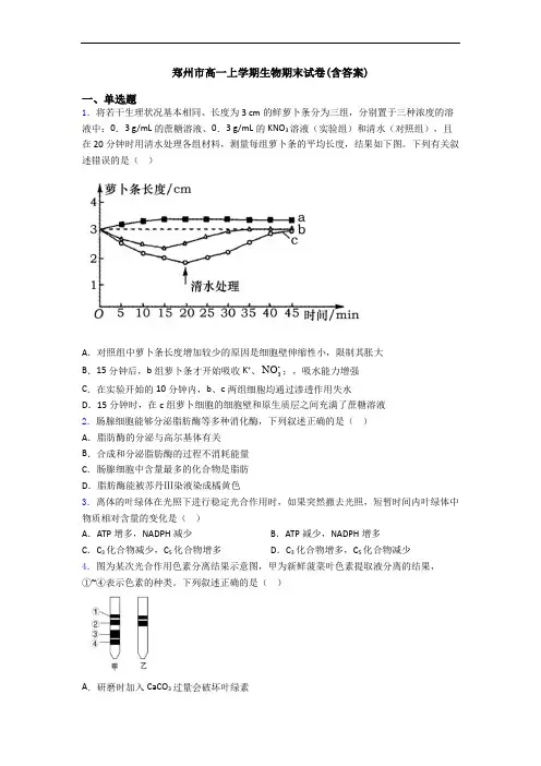 郑州市高一上学期生物期末试卷(含答案)