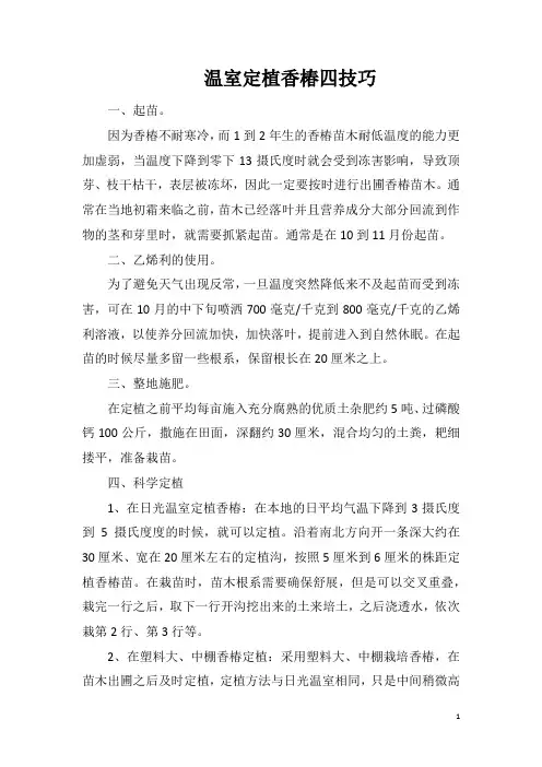 温室定植香椿四技巧
