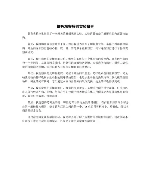 鲫鱼观察解剖实验报告