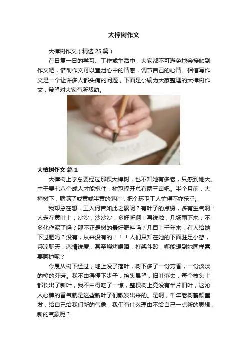 大樟树作文