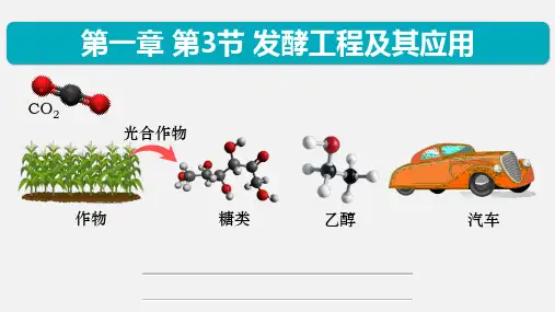 1.3发酵工程及其应用 (教学课件)-高二生物人教版选择性必修三  