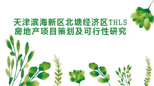 天津滨海新区北塘经济区THLS房地产项目策划及可行性研究