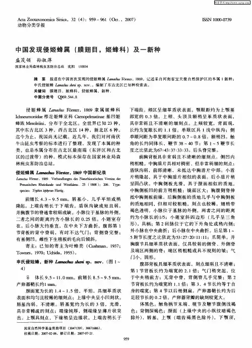 中国发现侵姬蜂属(膜翅目,姬蜂科)及一新种