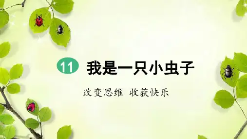 部编新版二年级语文下册第11课《我是一只小虫子》精品课件