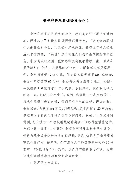 春节浪费现象调查报告作文