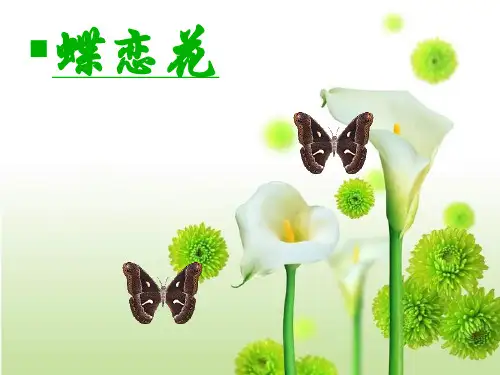 高中语文《蝶恋花》优秀教学课件 ppt.ppt
