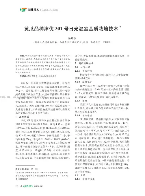 黄瓜品种津优301 号日光温室基质栽培技术