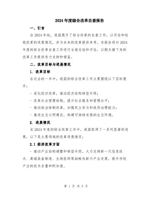 2024年度综合改革自查报告