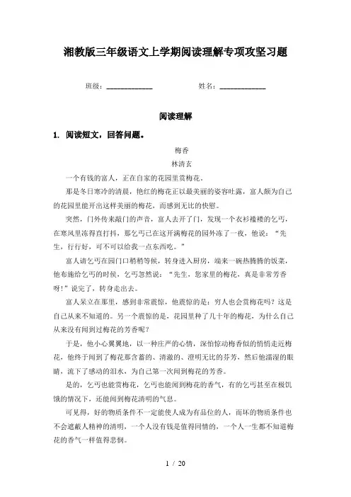湘教版三年级语文上学期阅读理解专项攻坚习题