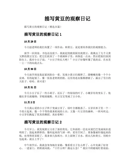描写黄豆的观察日记
