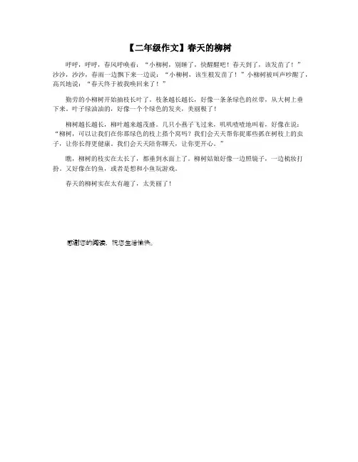 【二年级作文】春天的柳树