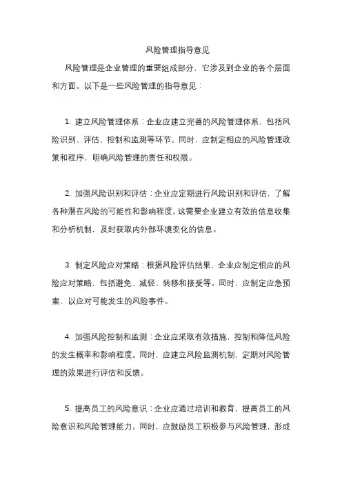 风险管理指导意见