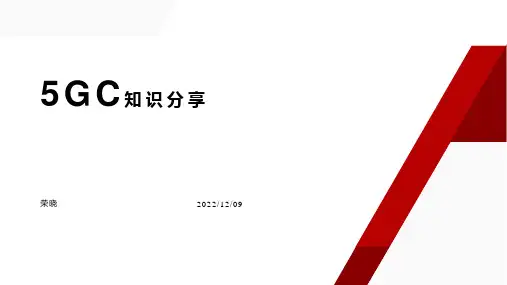 5GC知识分享 5G架构、主要网元、技术、流程