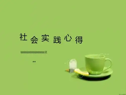 暑期社会实践动态PPT