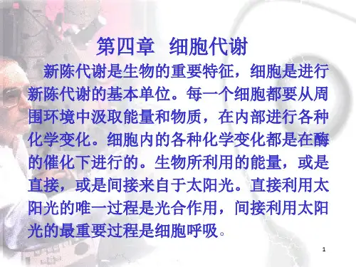 《细胞代谢》PPT课件