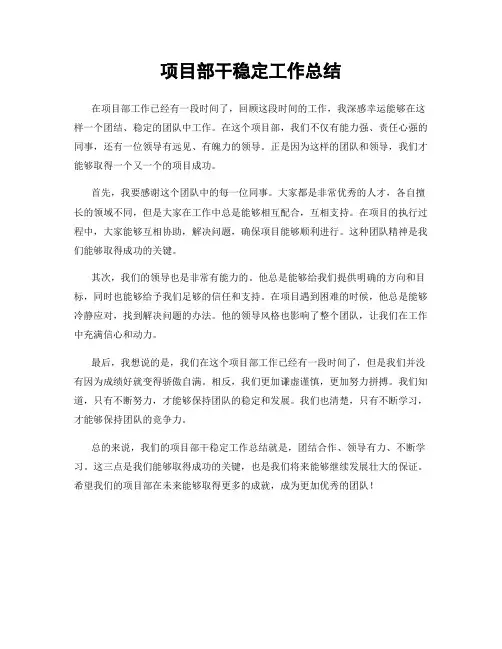 项目部干稳定工作总结