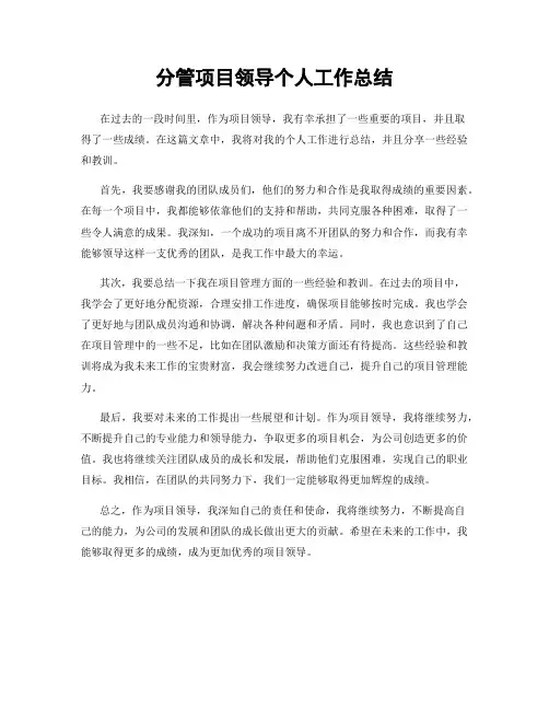 分管项目领导个人工作总结