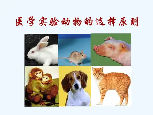 实验动物选择和应用