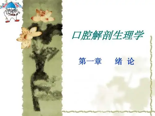 1.绪论及牙的组成分类